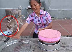 Bà Tân Vlog bị chỉ trích khi mang đĩa bị chó liếm ra đựng đồ ăn mời các cháu