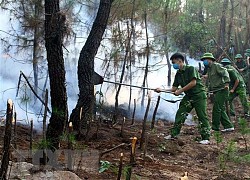 Bùng phát nhiều điểm cháy rừng tại Nghệ An, Hà Tĩnh và Thừa Thiên-Huế