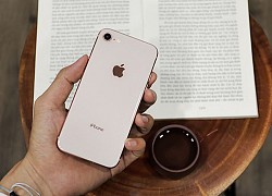 Chiếc iPhone này giá chỉ dưới 6 triệu đồng, nhưng vẫn "xưng bá" hiện nay