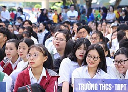 Có được dùng điểm miễn thi ngoại ngữ xét tuyển đại học?