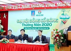 ĐHCĐ Đạm Cà Mau (DCM): 6 tháng, lợi nhuận trước thuế ước đạt 330 tỷ đồng