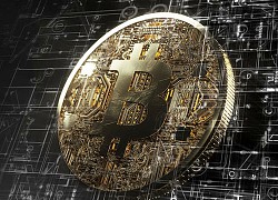 Giá Bitcoin ngày 29/6: Hồi phục sau 5 phiên giảm liên tiếp