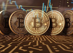 Giá Bitcoin ngày 30/6: Bitcoin tiếp tục tăng gần 50 USD/BTC, top 10 đồng loạt tăng điểm