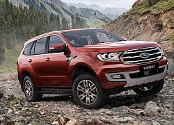 Giá xe Ford Everest cập nhật tháng 6: Thông số và giá lăn bánh