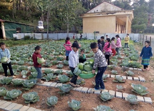 Học sinh hưởng lợi từ đổi mới sáng tạo mô hình giáo dục