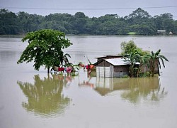 Lũ lụt hoành hành ở Ấn Độ, 13 người thiệt mạng