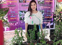 Phiên chợ hoa lan Bạch Tuyết 8 tỷ, xôn xao dân chơi đất Bắc