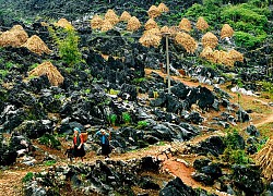 Thị trấn vùng Tây Bắc yên bình giữa cao nguyên đá