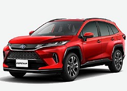 Toyota Corolla Altis Cross siêu hầm hố, giá 'ngon' sắp trình làng, đe Honda CR-V, Mazda CX-5