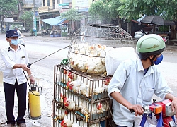 An toàn thực phẩm với thịt gia súc, gia cầm ở Hà Nội: Kiểm soát lưu thông, chốt chặt nguồn gốc