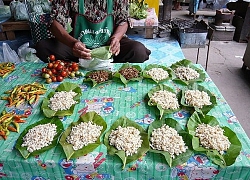 Chàng trai khoe đống "hạt" trắng tròn mập mạp gây tò mò, hóa ra là món đặc sản vùng núi rất ngon nhưng cũng khiến nhiều người sợ hãi