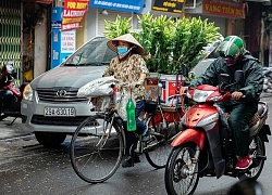 Việt Nam trong cuộc đua hồi sinh du lịch