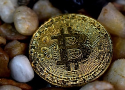 Giá Bitcoin trồi sụt thất thường