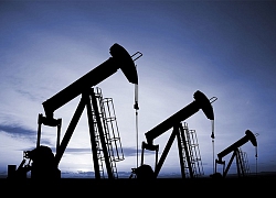 Giá dầu hôm nay bất ngờ tăng mạnh trong khi chờ thông tin từ OPEC+