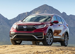 Honda CR-V 2020 sẽ được lắp ráp tại Việt Nam