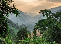 Phong Nha - Kẻ Bàng đẹp ma mị qua ống kính Mike Rowbottom