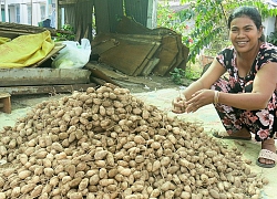 Trời cực nắng nóng có một loại củ ăn mát cả người nhưng mang cái tên nghe "ngồ ngộ"