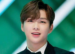 Cả MXH nháo nhào đòi làm ở công ty giải trí do chính idol kiêm CEO Kang Daniel sáng lập nhờ chi tiết đơn giản nhưng hấp dẫn