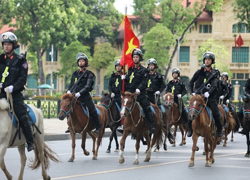 Cư dân mạng quan tâm: Thích thú hình ảnh đội kỵ binh