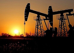 Giá dầu hôm nay giảm mạnh dù OPEC+ duy trì cắt giảm sản lượng