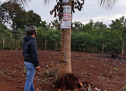 Ham đất giá rẻ và lợi nhuận cao trong lúc "sốt nóng", nhiều nhà đầu tư nếm "trái đắng"