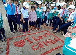 Học sinh tiểu học sáng tạo 'tác phẩm nghệ thuật' từ hoa lộc vừng để dành tặng giáo viên chủ nhiệm