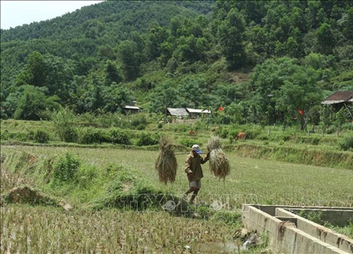 Phát triển Đảng ở đồng bào dân tộc Chứt - Bài cuối: Xây dựng 'cầu nối' giữa bản làng với Đảng