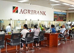 Sẽ bổ sung 3500 tỷ đồng vốn điều lệ cho Agribank từ ngân sách?