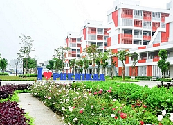 Chọn đại học cho con, phụ huynh Việt mỏi mắt tìm trường trải nghiệm, sáng tạo như nước bạn