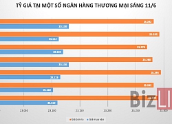 Giá USD tăng nhẹ trở lại