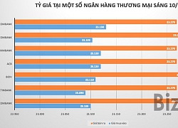 Giá USD tiếp tục giảm mạnh