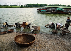 Hà Tĩnh: Cả làng đi thụt lùi đãi "lộc trời" trên sông La