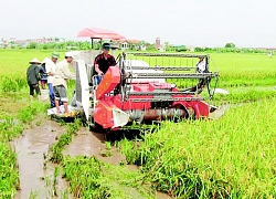 Huyện Phú Xuyên tập trung xây dựng xã nông thôn mới nâng cao