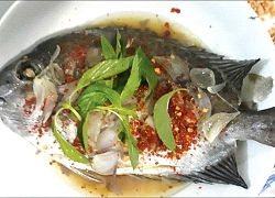 Nhung nhớ cá dìa