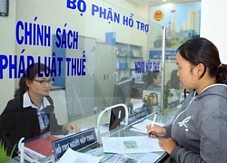 Quảng Ninh: Công ty Thống Nhất 508 nợ thuế hơn 288 tỷ đồng