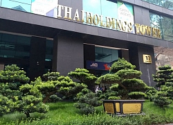 Gần 54 triệu cổ phiếu Thaiholdings (THD) đăng ký niêm yết trên HNX