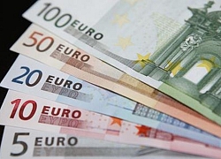 Tỷ giá euro hôm nay 11/6: Tăng đều tại 9 ngân hàng lớn