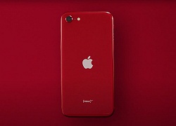 7 bí ẩn bạn không thể không biết trước khi tậu iPhone SE mới