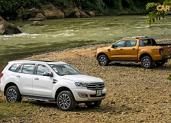 Ford gia hạn bảo hành thêm 2 năm với các xe Everest, Ranger, Raptor dính lỗi rò rỉ dầu