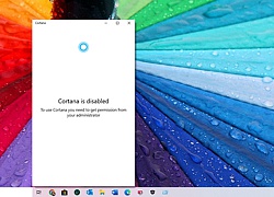 Khắc phục sự cố Cortana bị vô hiệu hóa trên Windows 10