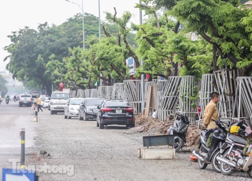 Lo ngại mất trộm, Hà Nội mặc 'áo giáp sắt' cho hàng sưa đỏ