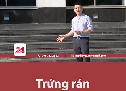 Loạt bản tin VTV chống "tối cổ" cực mạnh: Có đủ các trend từ trứng rán cần mỡ, nhảy trên không đến chơi nối chữ