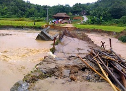 Mưa lớn, dông lốc gây nhiều thiệt hại