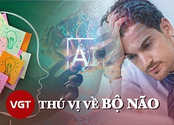 Những điều thú vị về bộ não mà bạn chưa biết