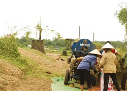 Rơm khô, vỏ trấu có giá bất ngờ trên sàn thương mại điện tử