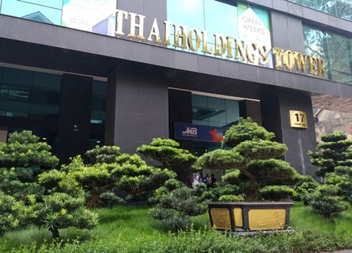 Thaiholdings của 'bầu Thụy' được định giá hơn 800 tỷ đồng