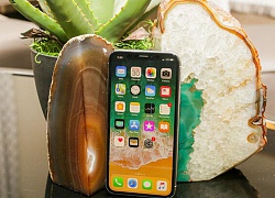 Tìm hiểu ưu, nhược điểm các loại iPhone bán tại VN, ai muốn mua cũng cần biết