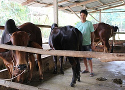 TP Hồ Chí Minh: Nông dân làm giàu nhờ tham gia chi, tổ hội nghề nghiệp