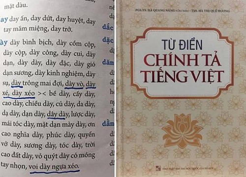 Từ điển chính tả viết sai chính tả: 'Do chưa có quy định hay cẩu thả?'