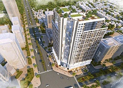 2019 lãi èo uột, Tập đoàn Cotana dựa vào đâu đặt kế hoạch 2020 gấp 30 lần?